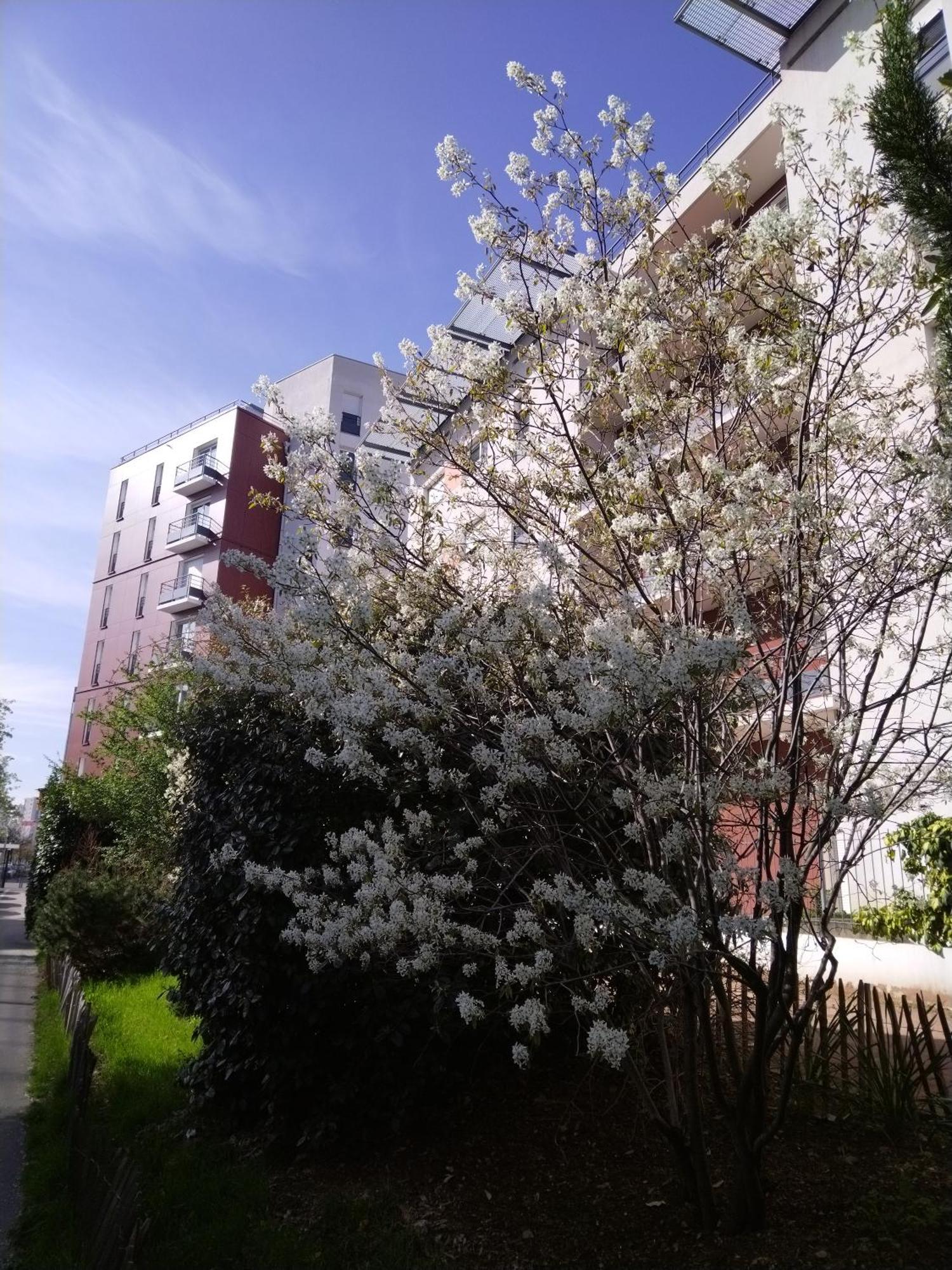 Apparthotel Privilodges Lyon Lumiere Zewnętrze zdjęcie